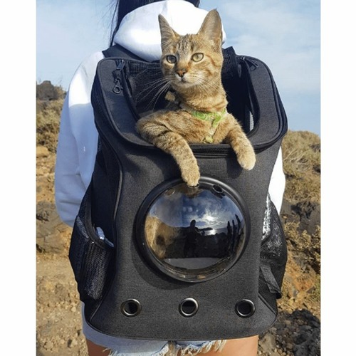 Fat Cat BackPack