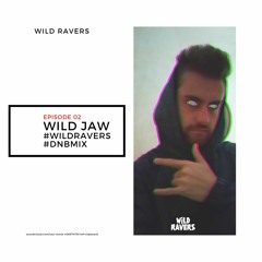 #WILDRAVERS EPISODE 02 - WILD JAW (DRUM&BASS MIX)