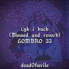Łyk i Buch - GOMBAO 33