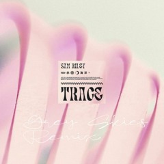 Sam Riley - Trace (Grey Skies Remix)
