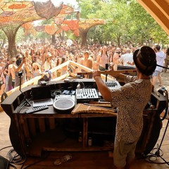 LIVE SET SEBASTIAN VENU, OZORA 2024, COOCKING GROVE STAGE