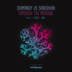 PREMIERE: Diamandy, Sandokan - Through The Meadow (Original Mix) [Undergroove Music]