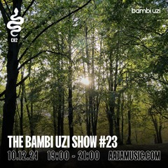 The Bambi Uzi Show #23 - Aaja channel 2 - 10 12 24