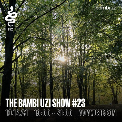The Bambi Uzi Show #23 - Aaja channel 2 - 10 12 24