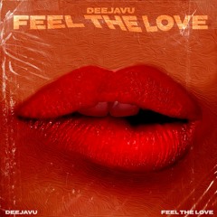 DeejaVu - Feel The Love