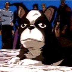 *//bul^s^et%%         ^^     &&         from,ydrus!utp();        pt2;