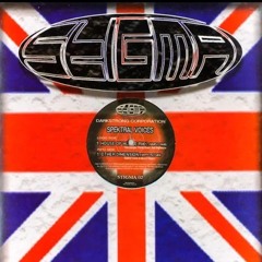 Spektral Voices – House Of House Rmx (Simply Rmx)