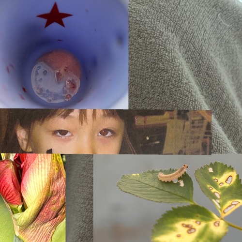 猫眼的交信 - 2024:05:10 17.48