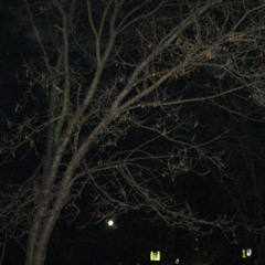 two weeks, i'm crying