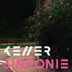 Kellersinfonie °42 - STRAWBERRY PUNCH