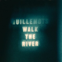 The Guillemots - Walk The River (Sergio Manifesto Re-Edit)
