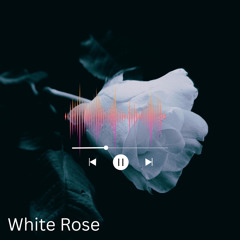 White Rose