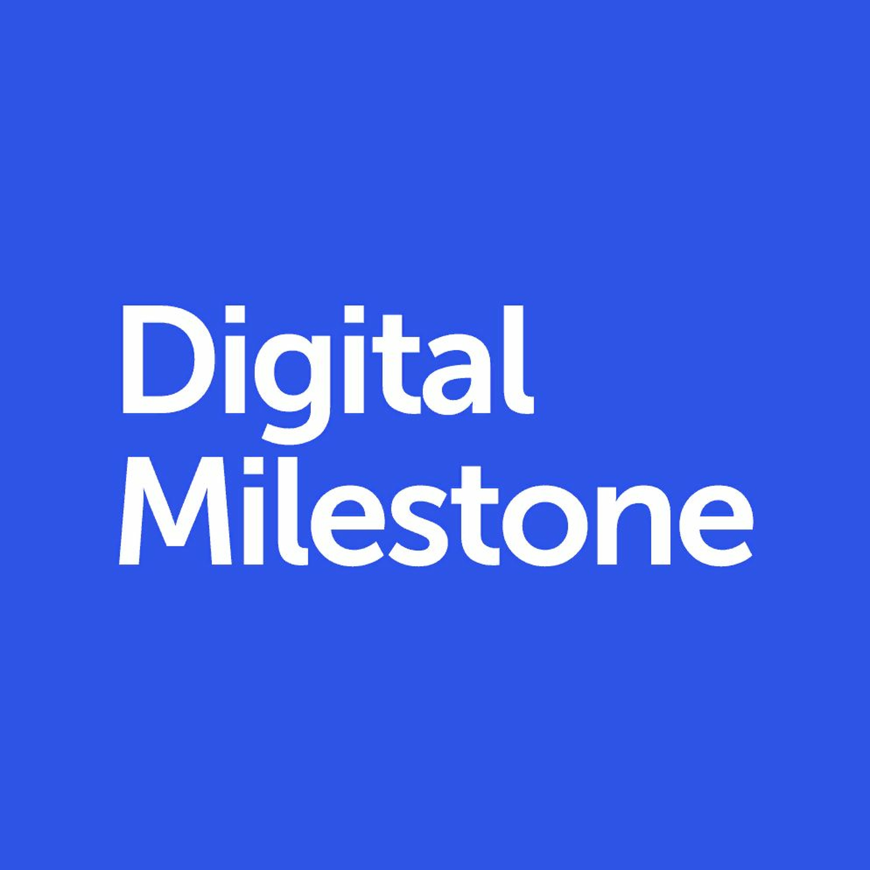 Digital Milestone, обзор компании Digital Milestone, обзор компании
