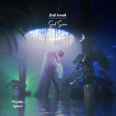 Premiere: Erdi Irmak - Sad Swan [Worlds Apart]