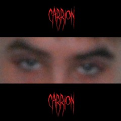 CARRION (Prod. Raikou)