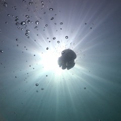 Ketama Vibes 15 – mix by Retrogradsky