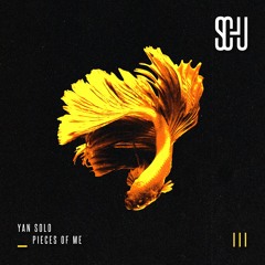 Yan Solo - Pieces of Me [SCHU03]