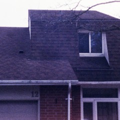 the evidence
