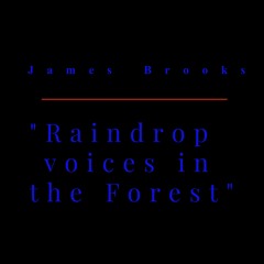 Raindrop Voices In The Forest