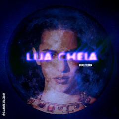 Marina Sena - Lua Cheia x Tá Ok (Funk Remix)