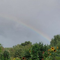 ern-Beitrag "be more rainbow"