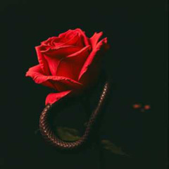 Love is poison #35