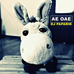 DJ PAPARIK - Ae OaE (Original Mix)