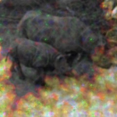 Mental Safari  - Dj Set