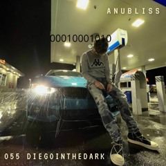 055 DIEGOINTHEDARK