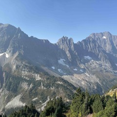 Chill/Float V3 🫨🌴⛰️🍄