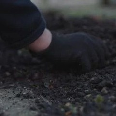 put you in tha dirt