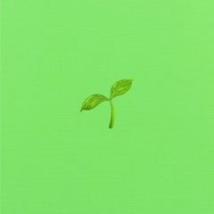 Sprout🌱(demo)
