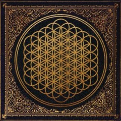 Bring me the Horizon - Sleepwalking (Acoustic Cover)