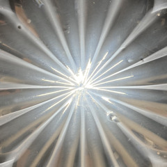 ‎ ‎‎ ‎ ‎ ‎ ‎‎ ‎ ‎ ‎ ‎‎ ‎ ‎ ‎ ‎ ‎ ‎ ‎(••)‎ ‎ ‎ ‎  ‎