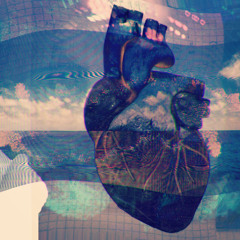 Analogue Vision