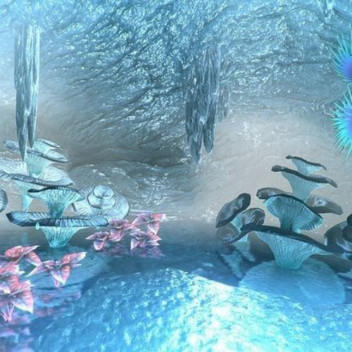 ii wanna be a dolphinn when ii die prod 7undra