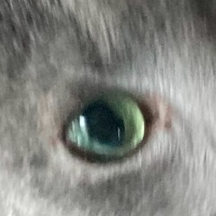yourluckyifyoufindthis