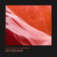 No Feelings (DJ Tonka's Free Hugs Mix)