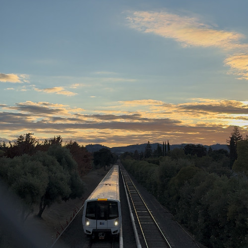 Not a Worry In The World (feat. 0_.1414, Gxrk124 & TamaleTerrorist)