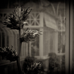 Artifact-020-Time's Memory