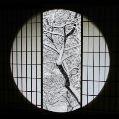 Organic Trip — Winter (Ambient Mix Series) 2020