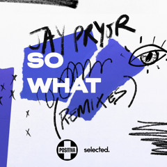 So What (Jason Reilly Remix)