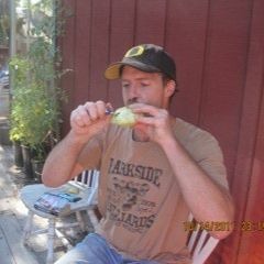 If I Can Dream (Elvis cover)