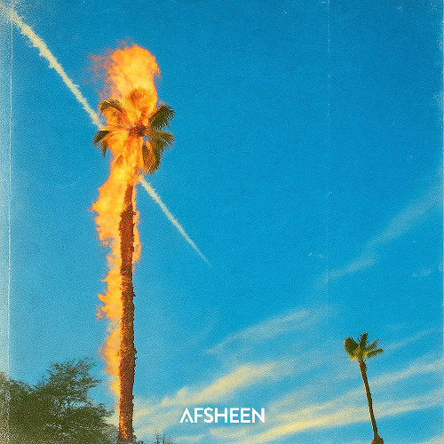 Palm Tree On Fire