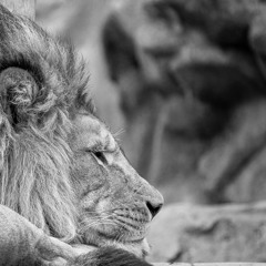 Daniel In The Lions Den | Bishop Sherrod C Johnson