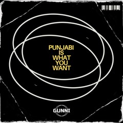 PUNJABI IS WHAT YOU WANT