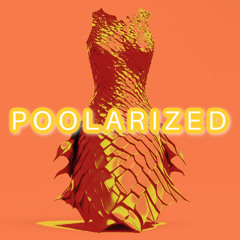 POOLARIZED Vol.101 mixed by MichaelV