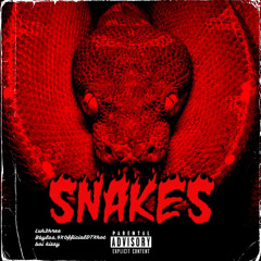 Snakes Ft.Loditty,OfficialDT