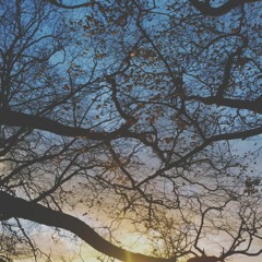 Come Across (The Intergalactic Bardation Station)