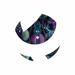 Moody Waters / Beneath The Moon (Fred P Reshape) Moody Waters / Beneath The Moon (Fred P Reshape)